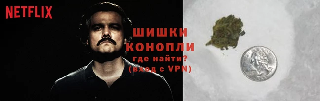 прущие крисы Заволжье