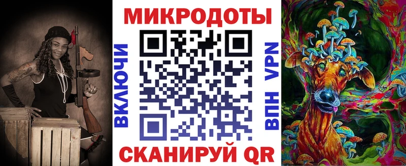 Купить  Княгинино  Псилоцибиновые грибы Cubensis 